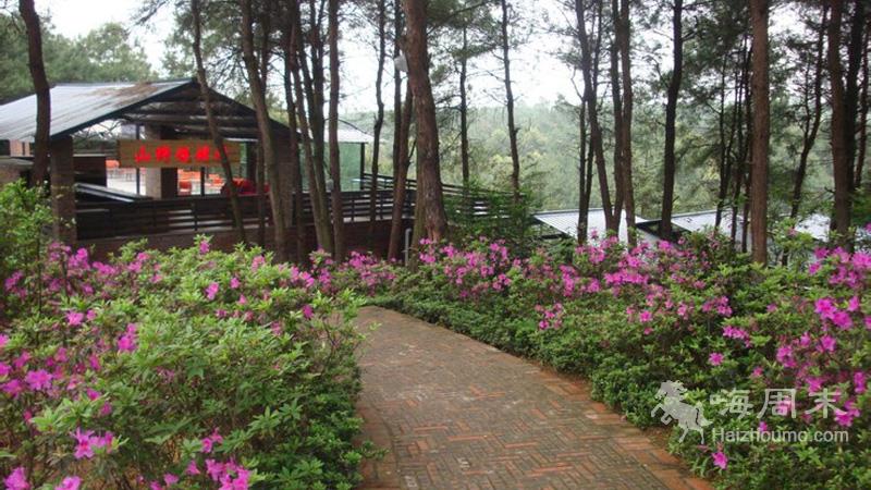 首页 农家乐 玉峰山生态园         宽敞明亮的乒乓球室与斯洛克台球